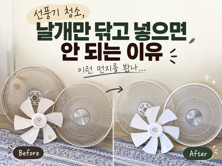 선풍기 청소, 날개만 닦고 넣으면 안 되는 이유
